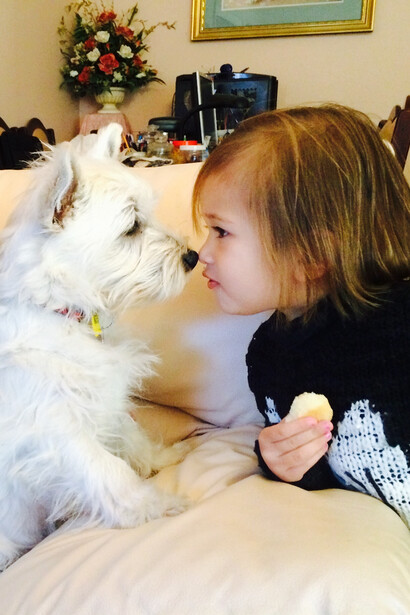 Après cette histoire, chaque aboiement est devenu un rappel : pour nous, un chien n’est jamais un plat, toujours un cœur qui bat