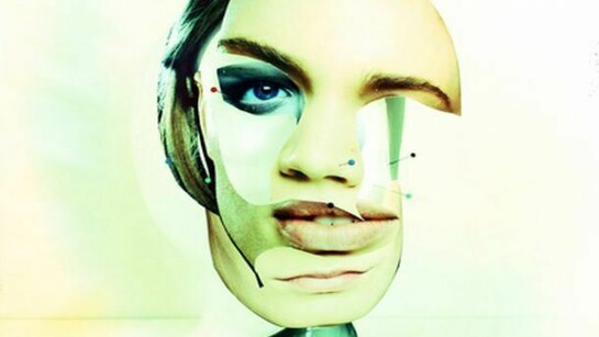 Harding Meyer, Features