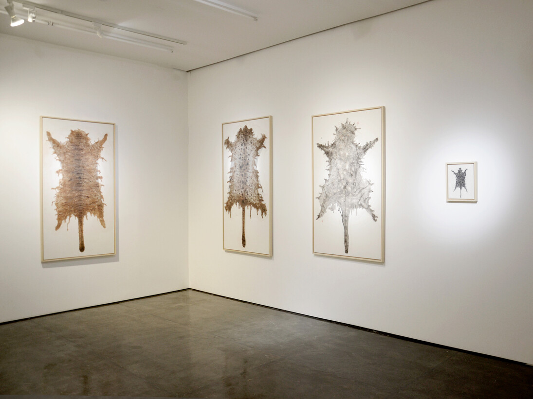 Another Take on Resurrection Hill series, installation shot