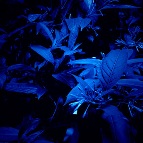 Hicham Berrada - Azur, 2014-2015, Papier Arche 300g tendu sur châssis, Chlorure de Cobalt, résistance, verre, 60 x 50 x 19 cm,- Celeste, 2014, Vidéo couleur. Ciel gris, fumée bleu ciel, 5 min 55 s, Vue de l’exposition « Paysages a circadiens », kamel mennour (6 rue du Pont de Lodi), Paris, 2015 © Hicham Berrada © Photo. Fabrice Seixas, Courtesy the artist and kamel mennour, Paris