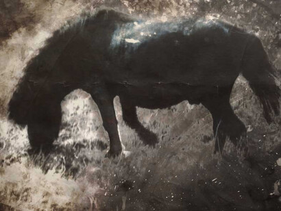 Johannes Brus. Courtesy of Galerie Judith Andreae