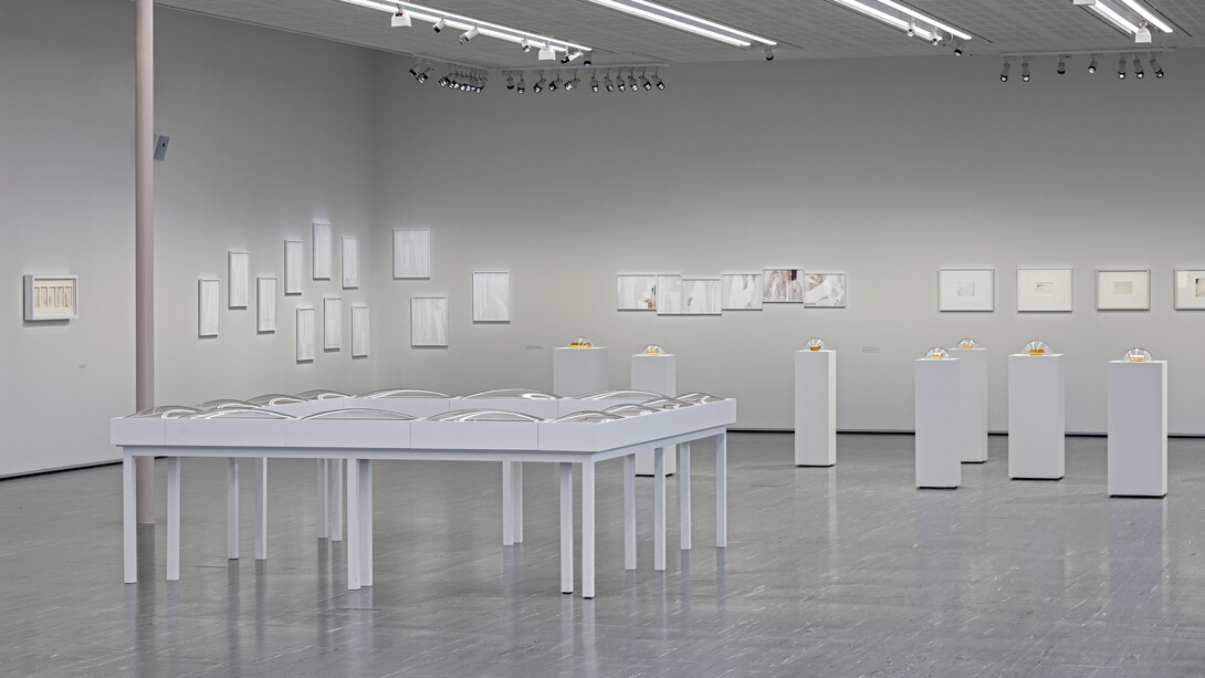 Maria Hahnenkamp, ausstellungsansicht. Mit freundlicher genehmigung des Unteren Belvedere