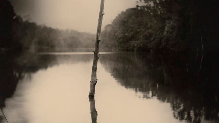 Sally Mann: A Thousand Crossings. Courtesy of The Museum of Fine Arts