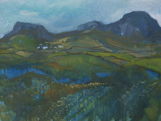 Gwilym Prichard, Blue Light Pembs