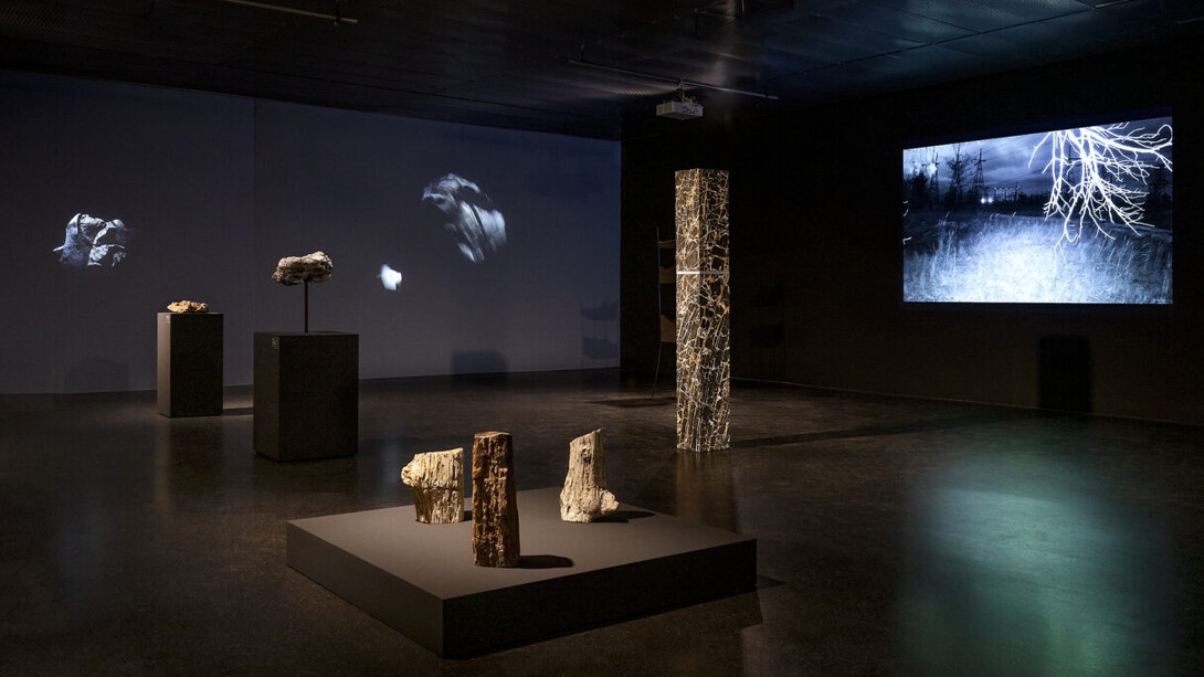 The world without us, exhibition view. Courtesy of Lentos Kunstmuseum