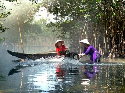 Women harvesting from the shallows beneath a canopy of mangroves, symbolising the connection between Vietnamese people and the waterways