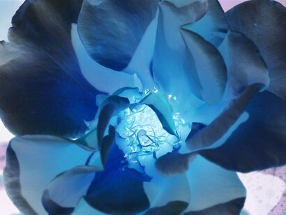 Jules Miller, Opening Seen, Digital Photography, 11" x 14"  