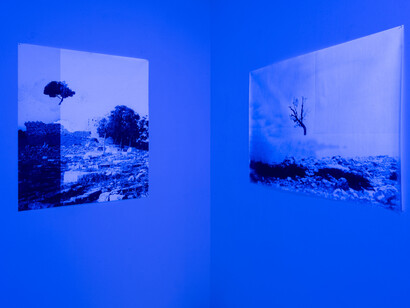 Rä di Martino, Kodrok, exhibition view. Courtesy of Valentina Bonomo Gallery
