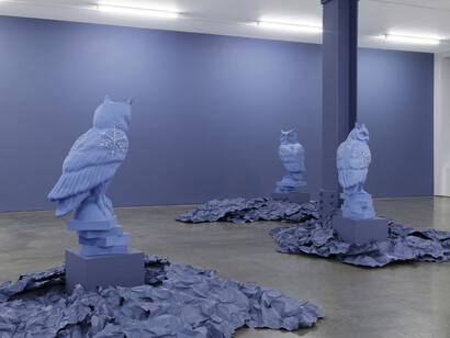 Winter. Courtesy of Ryan Lee