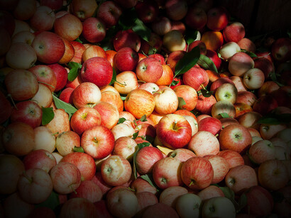 Dharma implica hacer lo correcto. Esa acción correcta está relacionada con cumplir el propósito de vida, que supone vivir la experiencia humana en la vida material