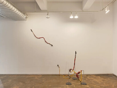 Romina Chuls, La cosecha (The harvest), exhibition view. Courtesy of A.I.R. Gallery