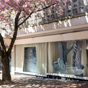 Joanna Piotrowska, Dreams are the facts from which we must proceed (2023), photo by Henning Rogge. Courtesy of Urbane Künste Ruhr
