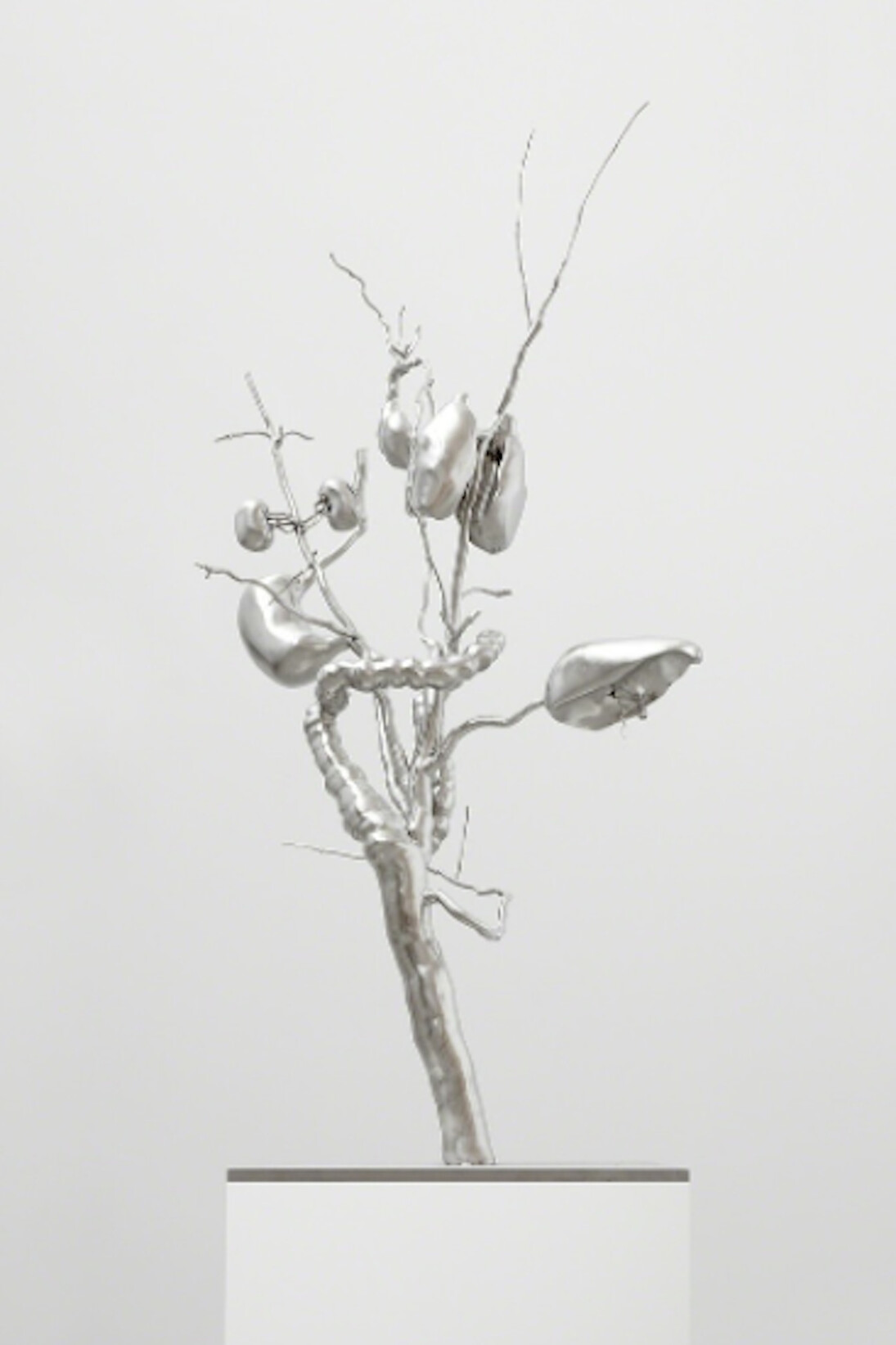 Roxy Paine. Courtesy of Paul Kasmin Gallery
