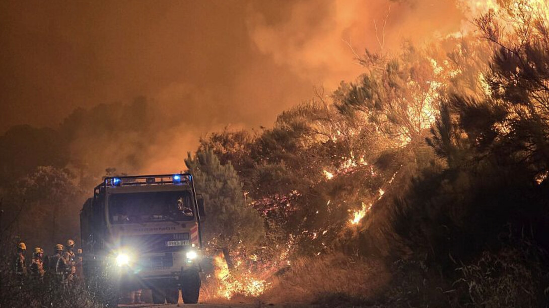 Año tras año, bosques enteros desaparecen a causa de incendios que se repiten siguiendo un mismo patrón: una biomasa que alimenta el sotobosque, que crece sin control y de la que nadie se responsabiliza, España