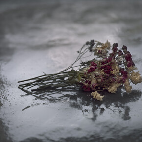 Castro Prieto, Rosas secas, Bodas de sangre, Pigmented inks on 100% cotton paper, 22 x 27.6"