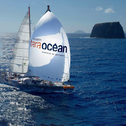 Il veliero di Tara Oceans ha raccolto 35.000 campioni d'acqua in vari luoghi degli oceani nel corso di una spedizione durata alcuni anni per le ricerche sui virus marini a RNA