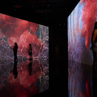 Marshmallow Laser Feast, All that is unseen, exhibition view. Courtesy of Media Majlis Museum