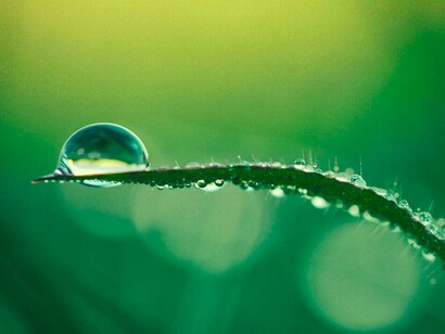 Un mismo planeta para todos