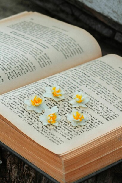 Although Olga initially wrote a sad poem about growing old, her creative journey profoundly altered her life