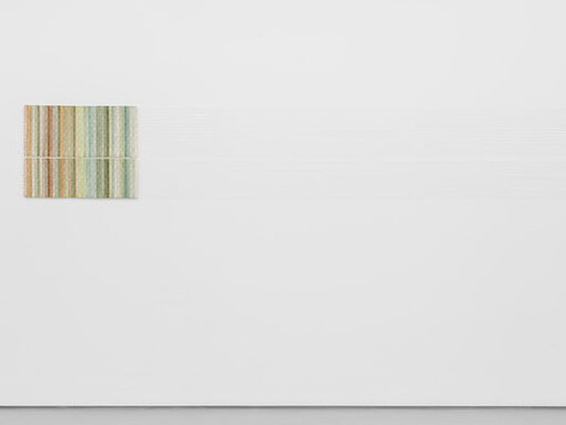 Gabriela Albergaria. Courtesy of Galeria Vera Cortês