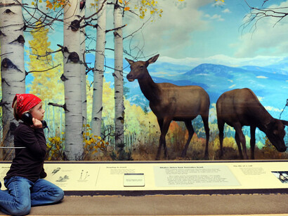 Wildlife Exhibits. Courtesy of Denver Museum of Nature & Science