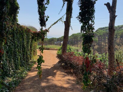 Sentieri, campagna libanese, foto Claudia Zanfi