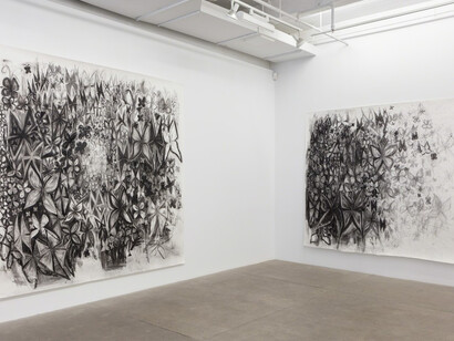 I Rot Before I Ripen, Exhibition view. Courtesy of P.P.O.W