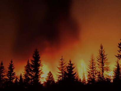 The powerful intersection of nature and disaster as the Smokehouse Creek Fire transforms a serene Texas countryside forest into a chaotic inferno under the cover of a cloudy evening sky, highlighting the immediate need for comprehensive wildfire management