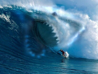 Shark Wave