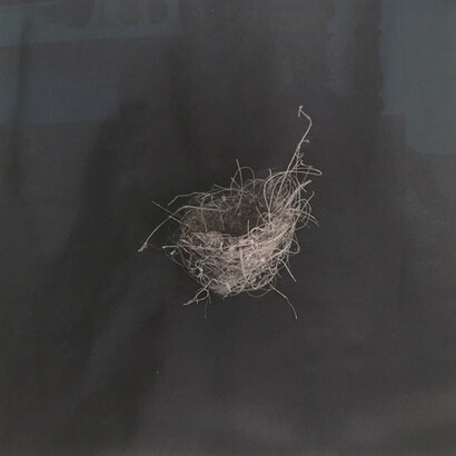 Nests. Courtesy of Brickworks Gallery