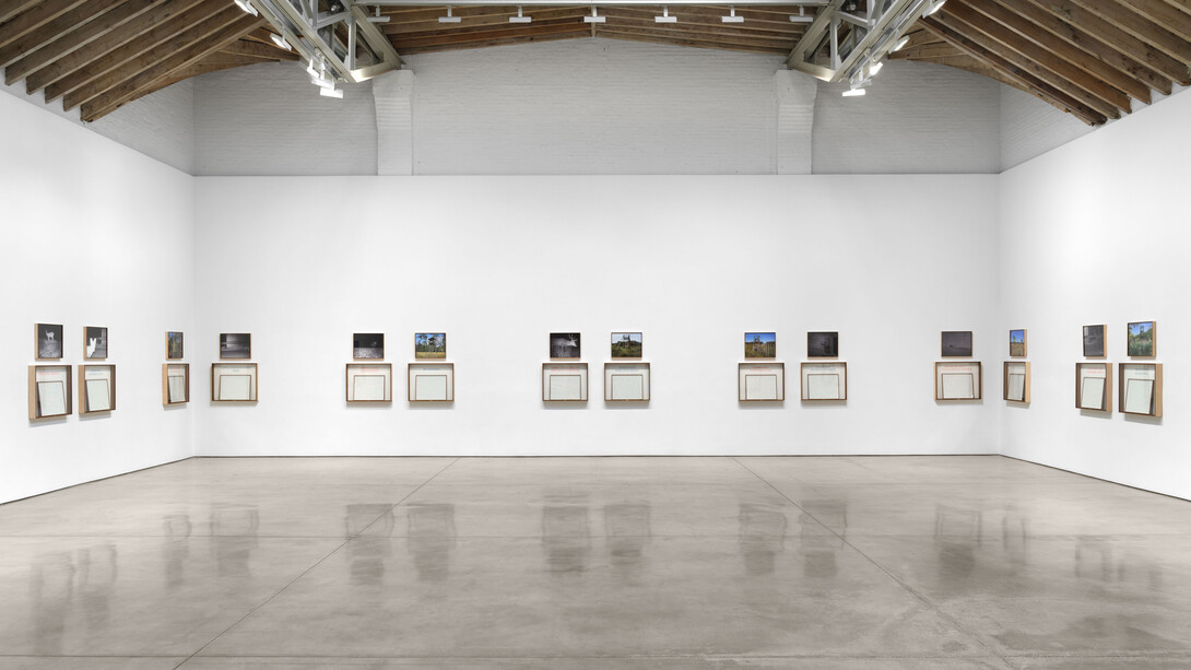 Sophie Calle, On the hunt, exhibition view. Courtesy of Paula Cooper Gallery