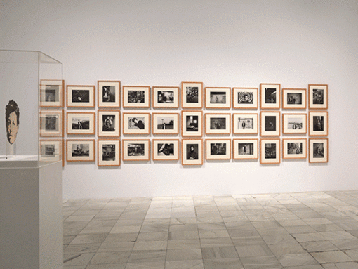 David Wojnarowicz. Courtesy of Museo Nacional Centro de Arte Reina Sofía