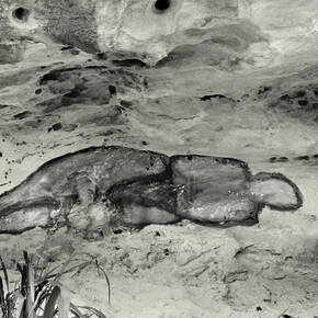 La tierra habla. Courtesy of Galerie Lelong & Co.