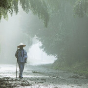 Museo de las Peregrinaciones y de Santiago