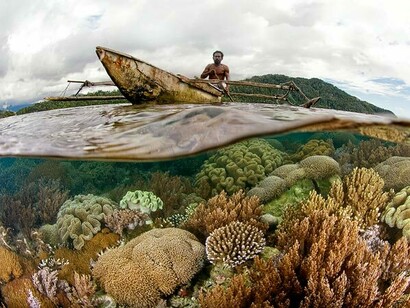 The impact of pollution on biosphere