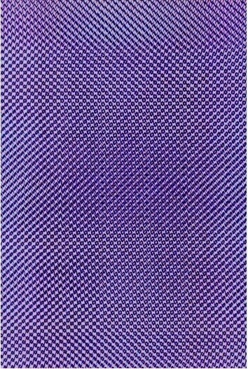 Lisa Oppenheim, Fish Scale, Véritable Hollandais (Version 22), Photogram, c-print, 2012, photographer: Achim Kukulies, courtesy the artist(s) and Sies + Höke, Düsseldorf.