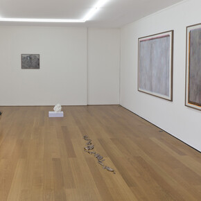 Installation view | Ausstellungsansicht
Photo: Wilfried Petzi
Courtesy of the artist and Galerie Rüdiger Schöttle