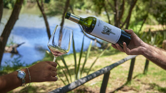 Copa y botella de vino de Viña Maquis