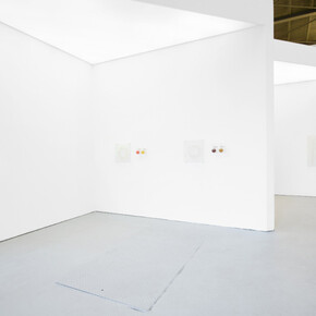 Elsa Salonen, Moonlit botanical colour theories, exhibition view. Courtesy of Galerie Jochen Hempel