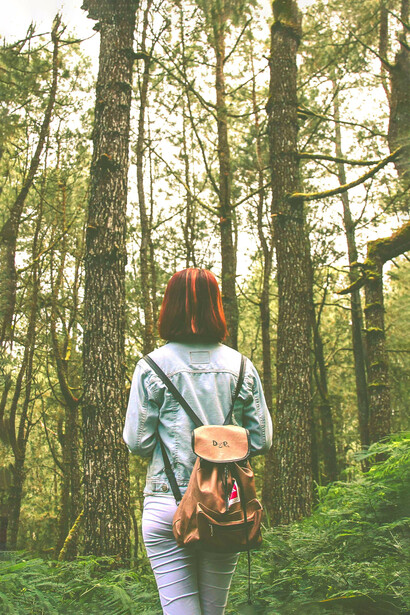 La exposición a paisajes naturales como montañas o el océano estimula las ondas alfa en el cerebro, induciendo relajación y claridad mental