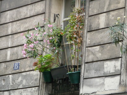 Finestra parigina. Ph Simonetta Sandri