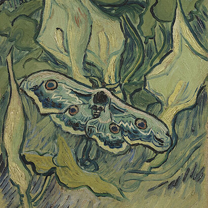 «Polilla emperador sobre Calas» (extracto), Vincent Van Gogh, mayo-junio 1889. Museo Van Gogh, Ámsterdam