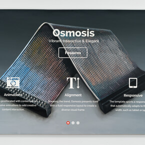 Joel Holmberg, Ribbon Cable with Osmosis Template, 2014, Acrylic and oil on canvas, 60 x 84 inches