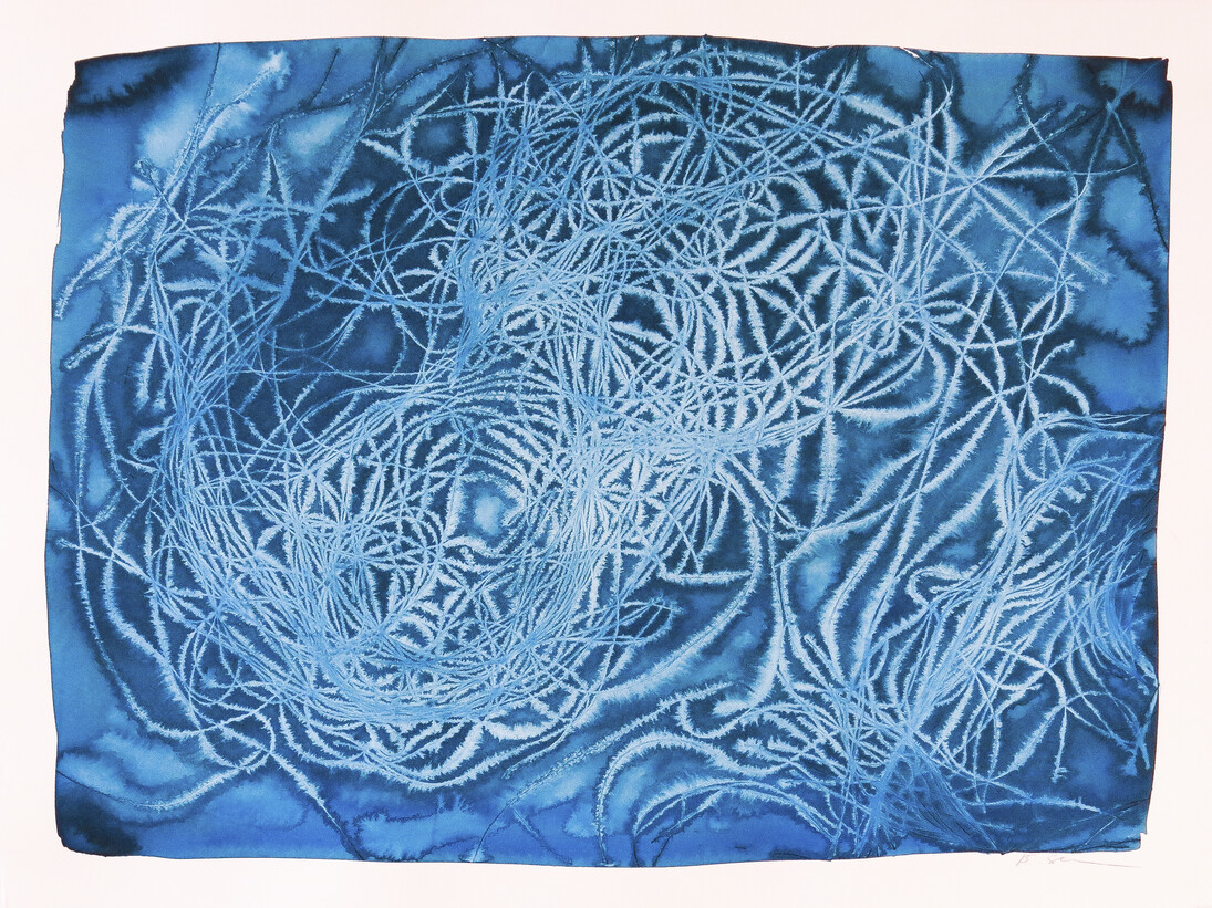 Bastienne Schmidt, Untitled, Topos, 2014, mixed media on paper, 22 x 30 in.