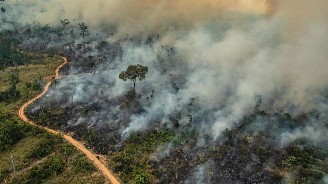 As queimadas na Amazônia emergem como um grave desafio ambiental, contrapondo a imagem de liderança verde atribuída ao Brasil. Foto: Victor Moriyama/Greenpeace