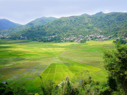 I terrazzamenti di coltivazioni di riso a forma di tela di ragno vicino a Ruteng