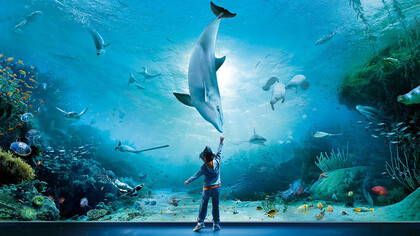 Il luogo da dove ritengo le mie creature provengano davvero ossia l'Acquario di Porto Antico di Genova