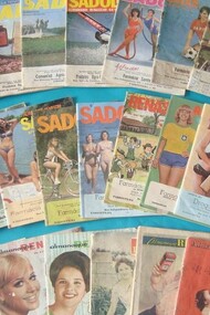 Almanaques de farmácia. Os almanaques de farmácia como o caminho da saúde, o almanaque do biotônico, o informe anual, guia prático da saúde, a saúde da mulher entre outros, trouxeram antes da internet o mundo da vida cotidiana com informes sobre utilidades, uso da terra, cartas enigmáticas, calendário, palavras cruzadas, histórias, provérbios, charadas, piadas, curiosidades, entretenimentos, pensamentos, farmácia do lar, dicas para lavoura e agricultura, dicas para a pele, e vários informes com propagandas e ilustrações indicando um novo tempo para velhos costumes