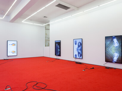 Cory Arcangel, tl;dr (installation), courtesy of the artists and team (gallery, inc.), New York. Photo: Joerg Lohse