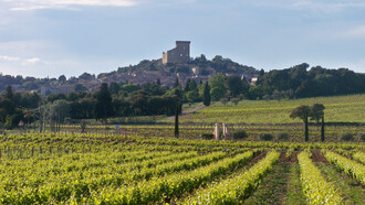 Châteauneuf-du-Pape, Francia meridionale